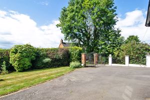 Photo 11- click for photo gallery